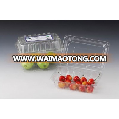 Plastic Fruit Container