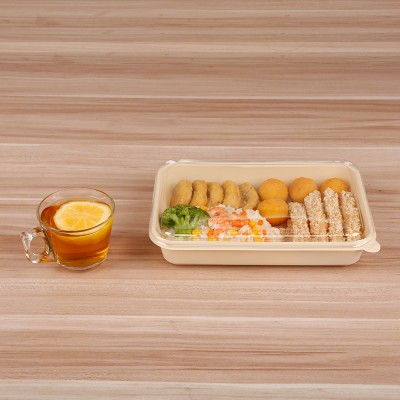 eco friendly pp lunch box disposable 3 compartment