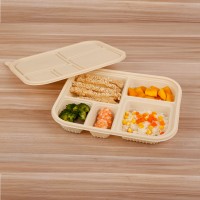 packaging takeaway disposable containers for food