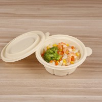 biodegradable disposable plastic lunch boxes