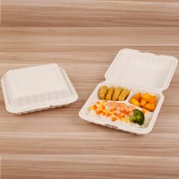 biodegradable food container disposable plastic