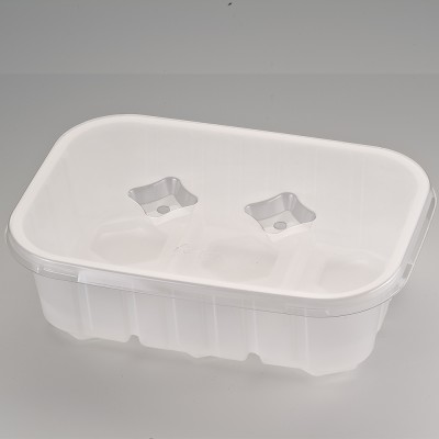 black transparent cake box supplier